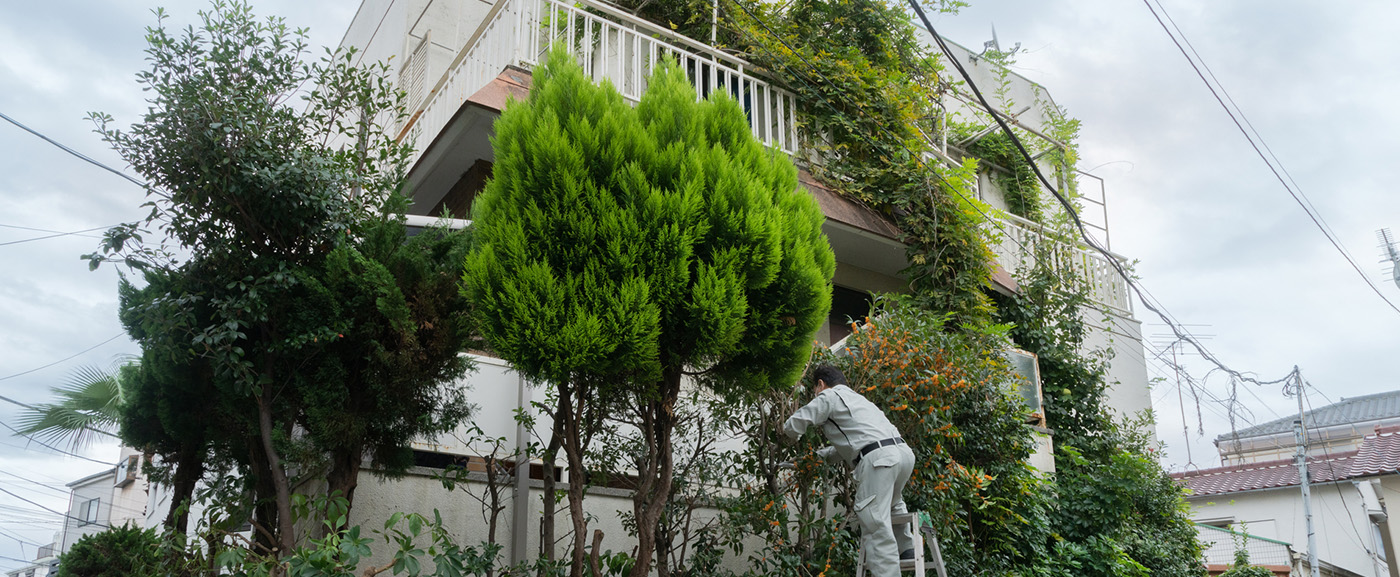 草木で覆われた家の画像
