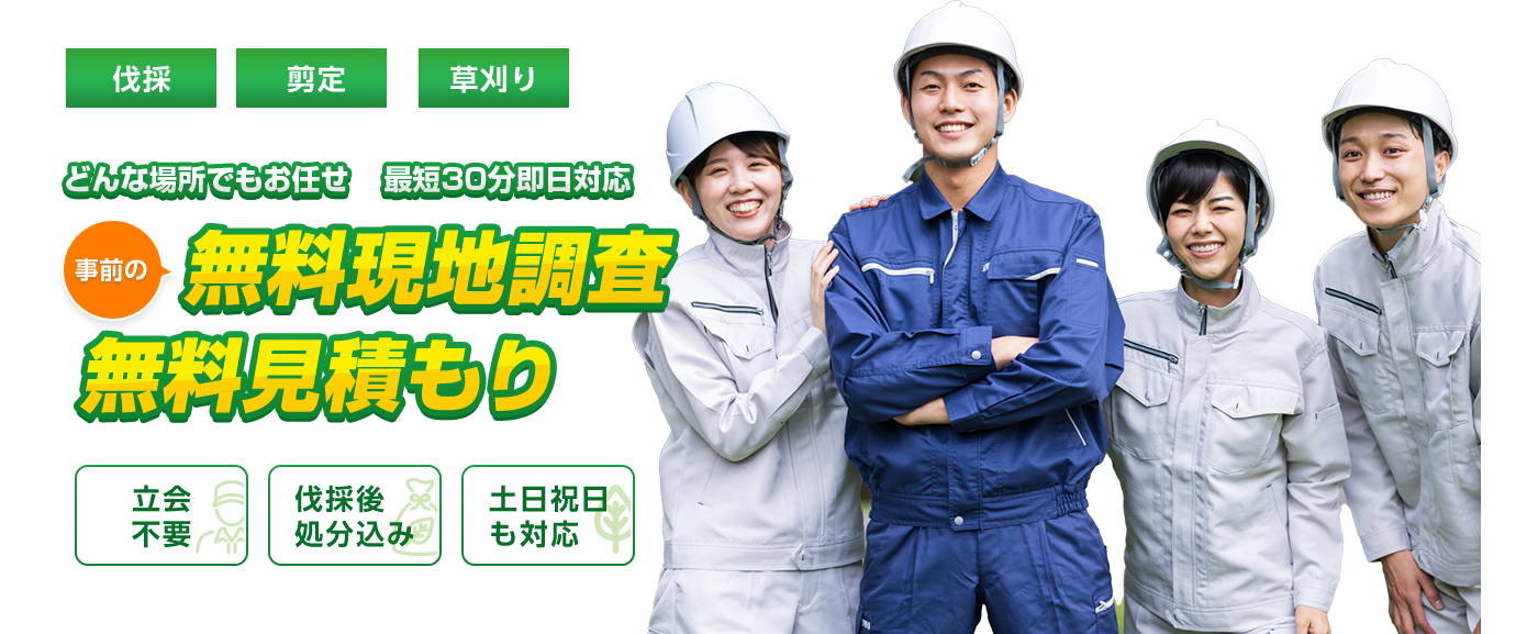 伐採 剪定 草刈り どんな場所でもお任せ 最短30分即日対応 事前の無料現地調査 無料見積もり 立会不要 伐採後処分込み 土日祝日も対応