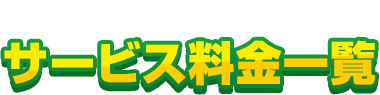 高所や複雑な場所も幅広く対応 サービス料金一覧